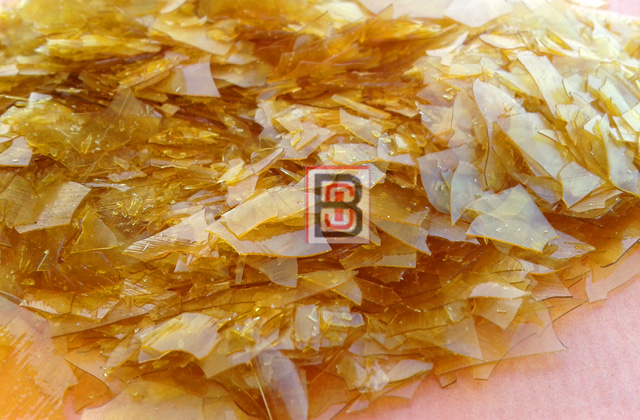 Biswashankari Shellac Industries